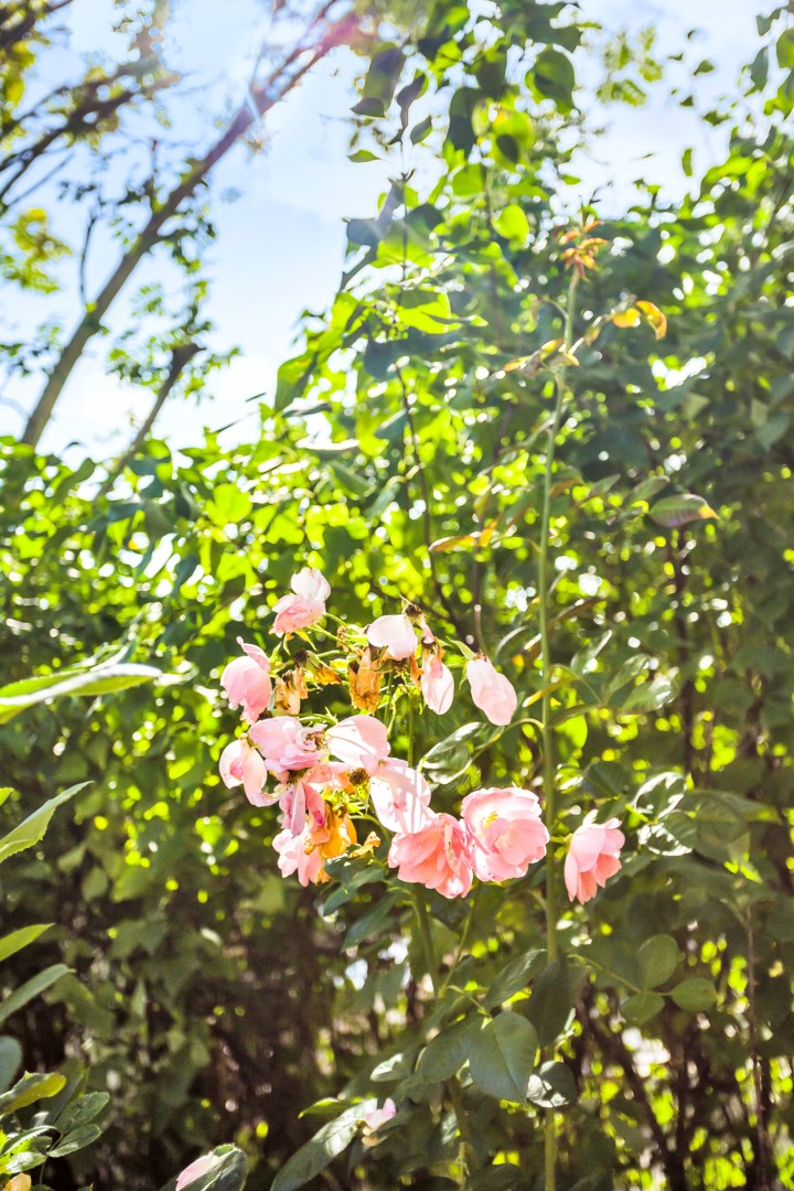 Bostadsbild från Rubinvägen 3, Såld i Herrhagen, Uppsala