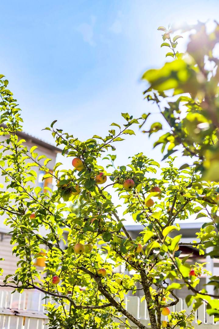 Bostadsbild från Rubinvägen 3, Såld i Herrhagen, Uppsala