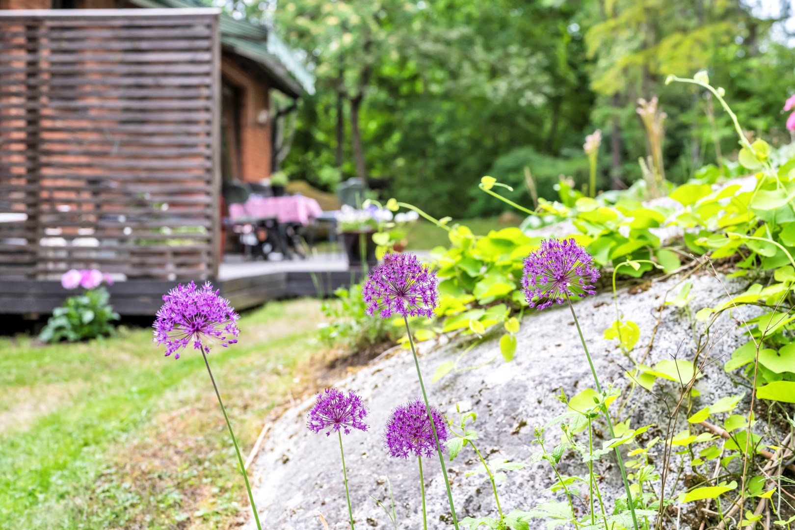 Bostadsbild från Blåmesvägen 7A, Såld i Sunnersta, Uppsala