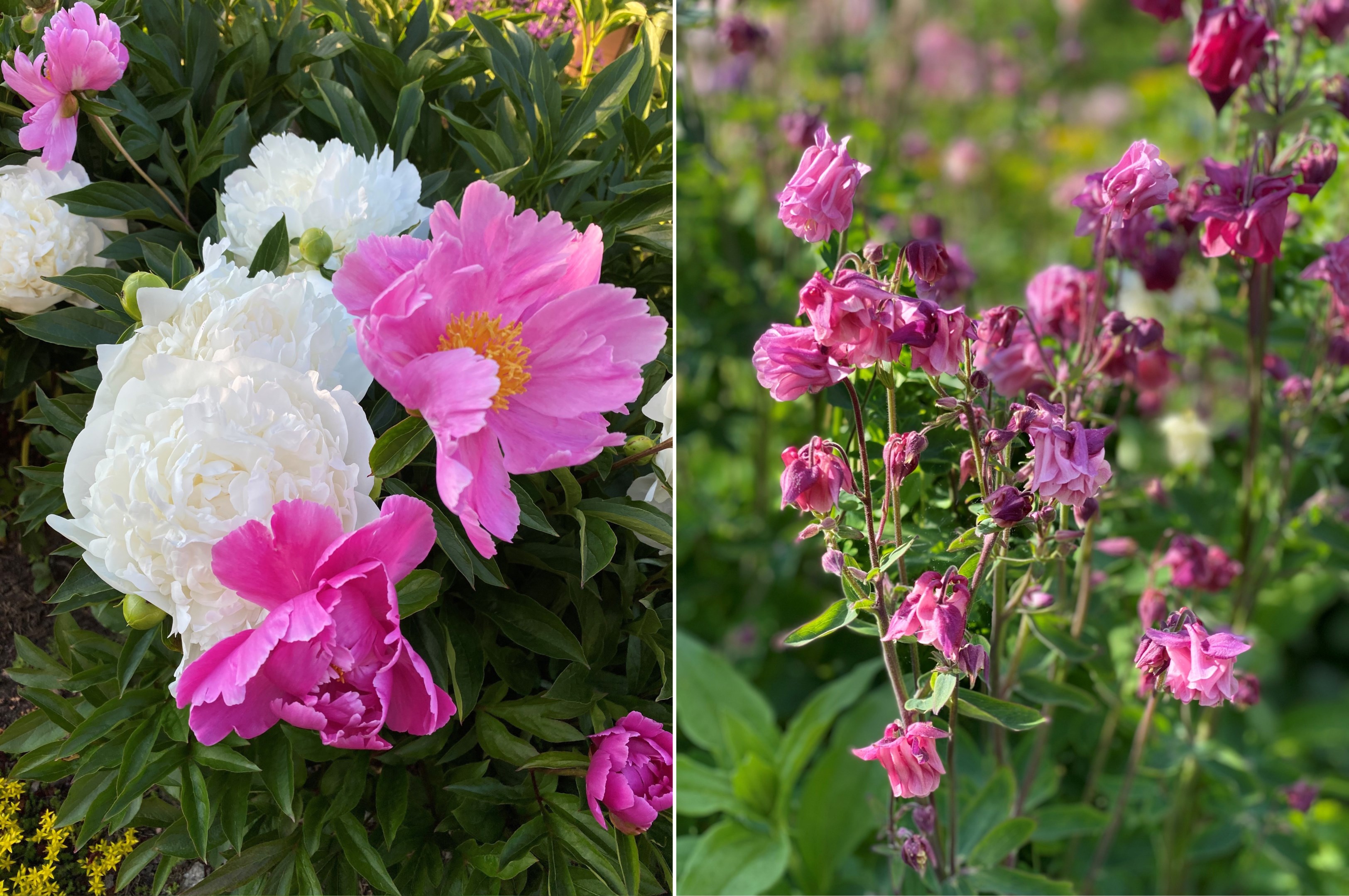 Bostadsbild från Arkitektvägen 60, Såld i Vänge, Uppsala