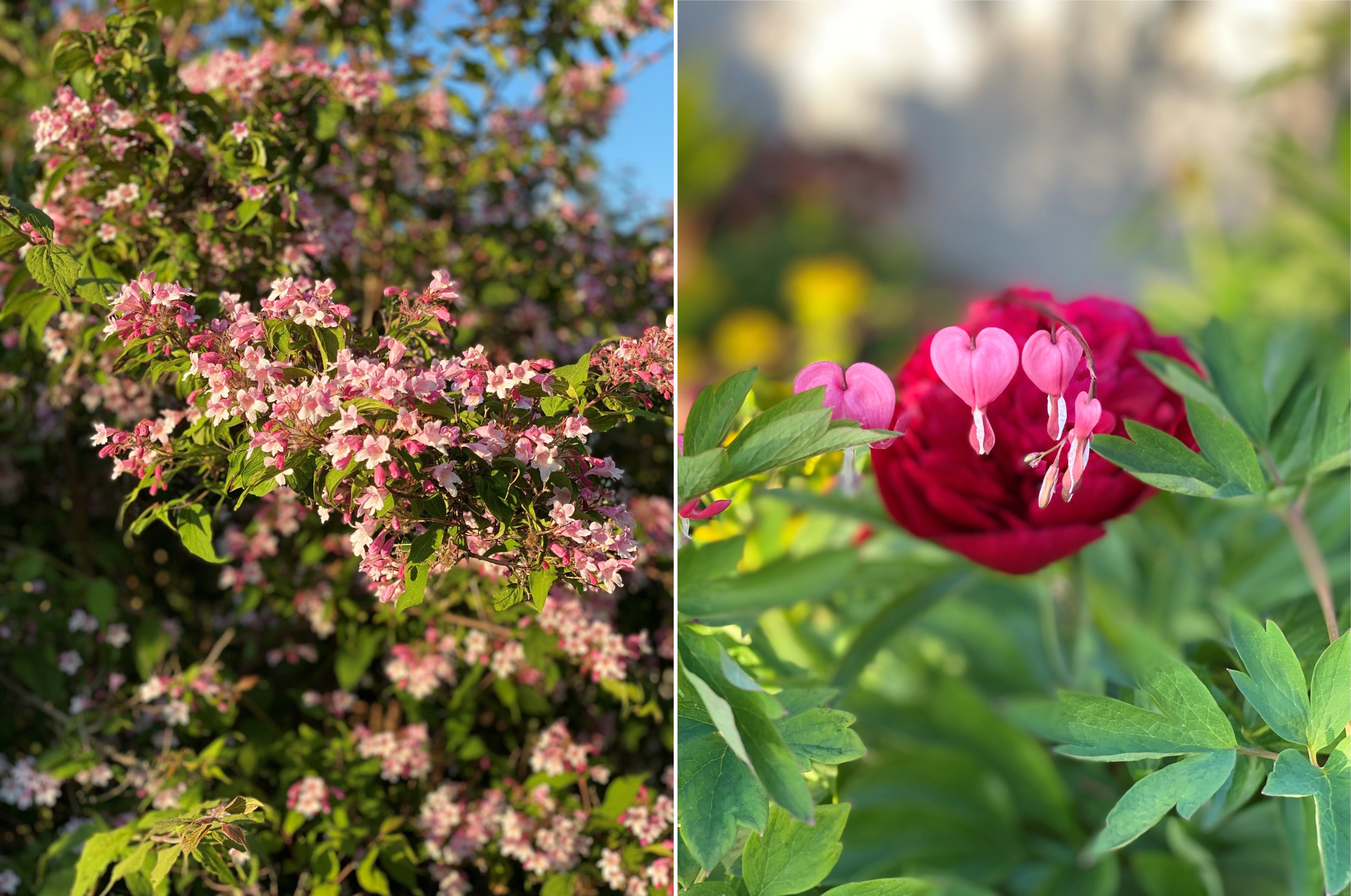 Bostadsbild från Arkitektvägen 60, Såld i Vänge, Uppsala