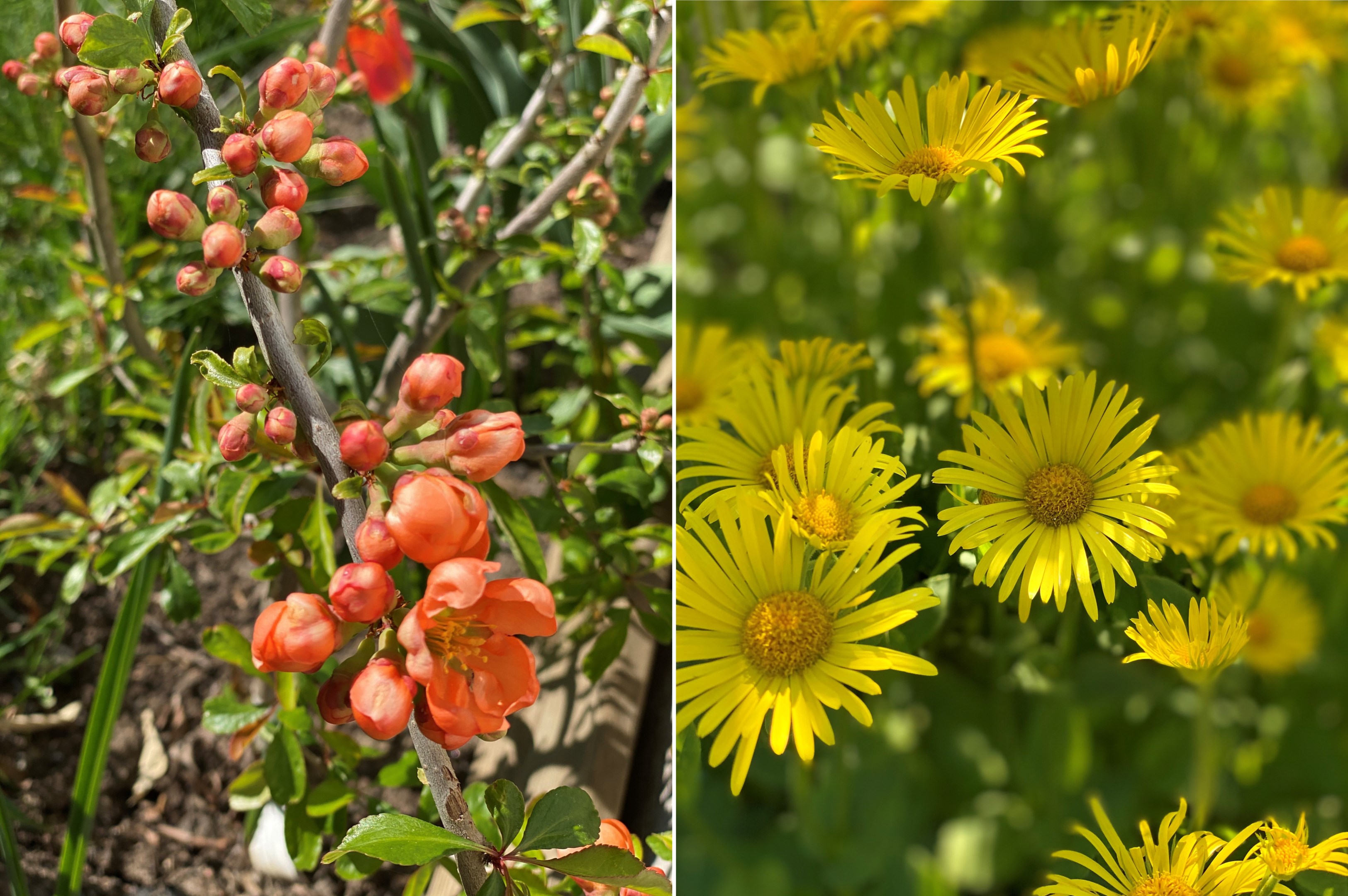 Bostadsbild från Arkitektvägen 60, Såld i Vänge, Uppsala