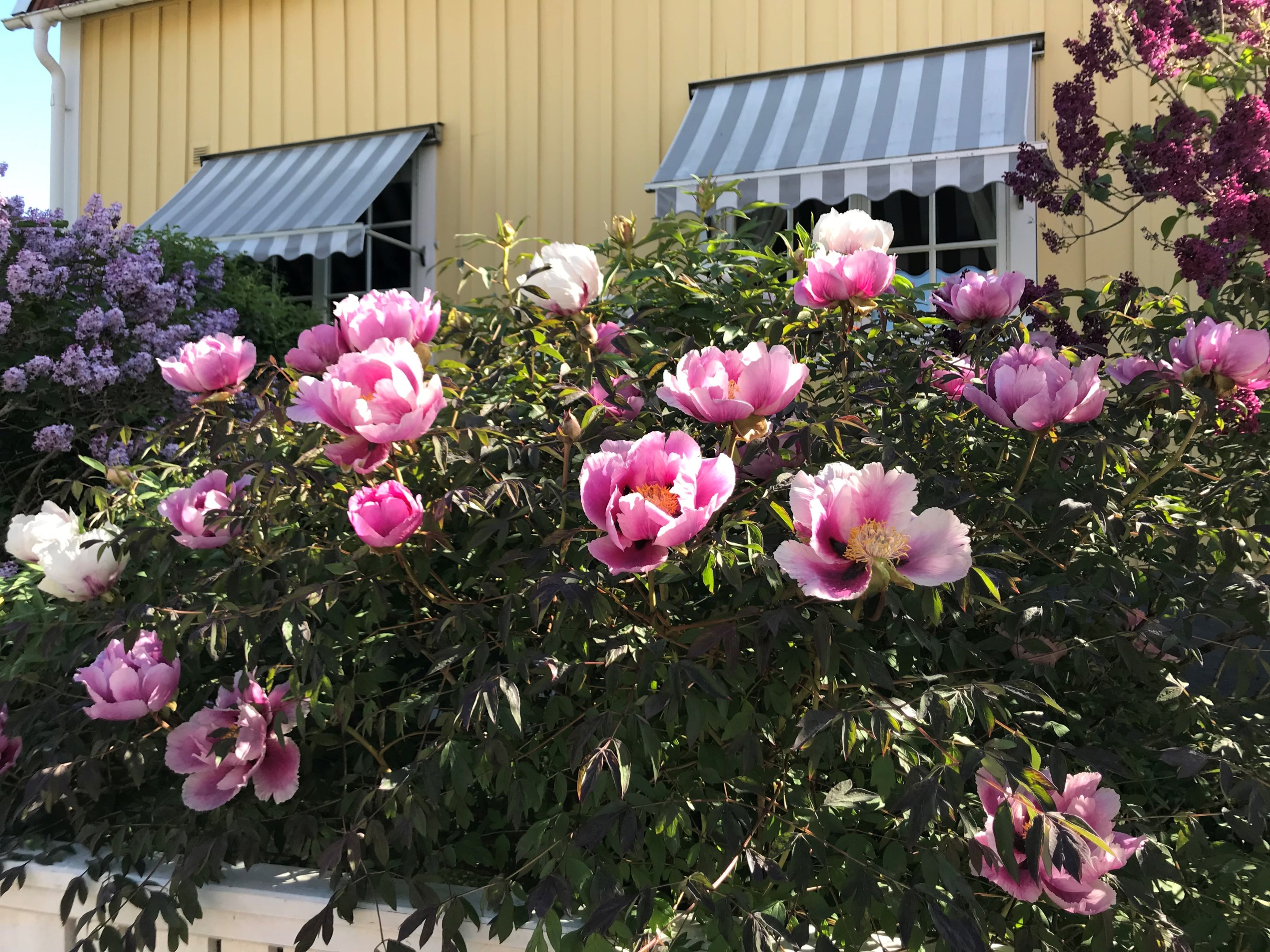 Bostadsbild från Gråbergsvägen 15A, Såld i Eriksberg, Uppsala