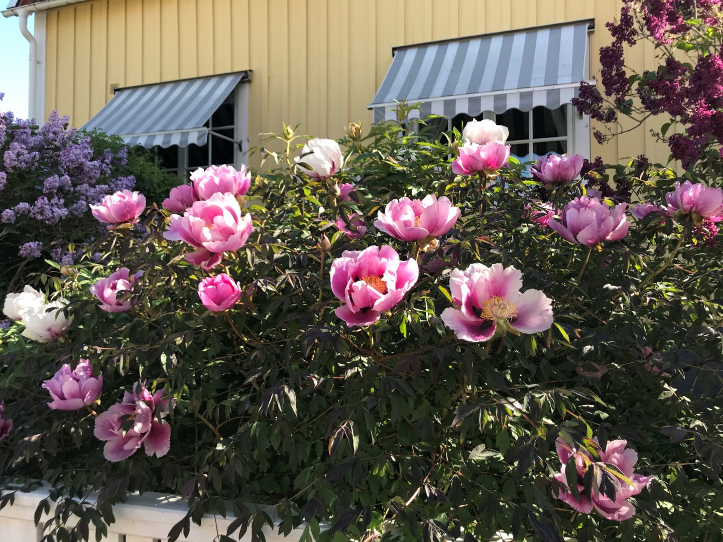 Bostadsbild från Gråbergsvägen 15A, Såld i Eriksberg, Uppsala