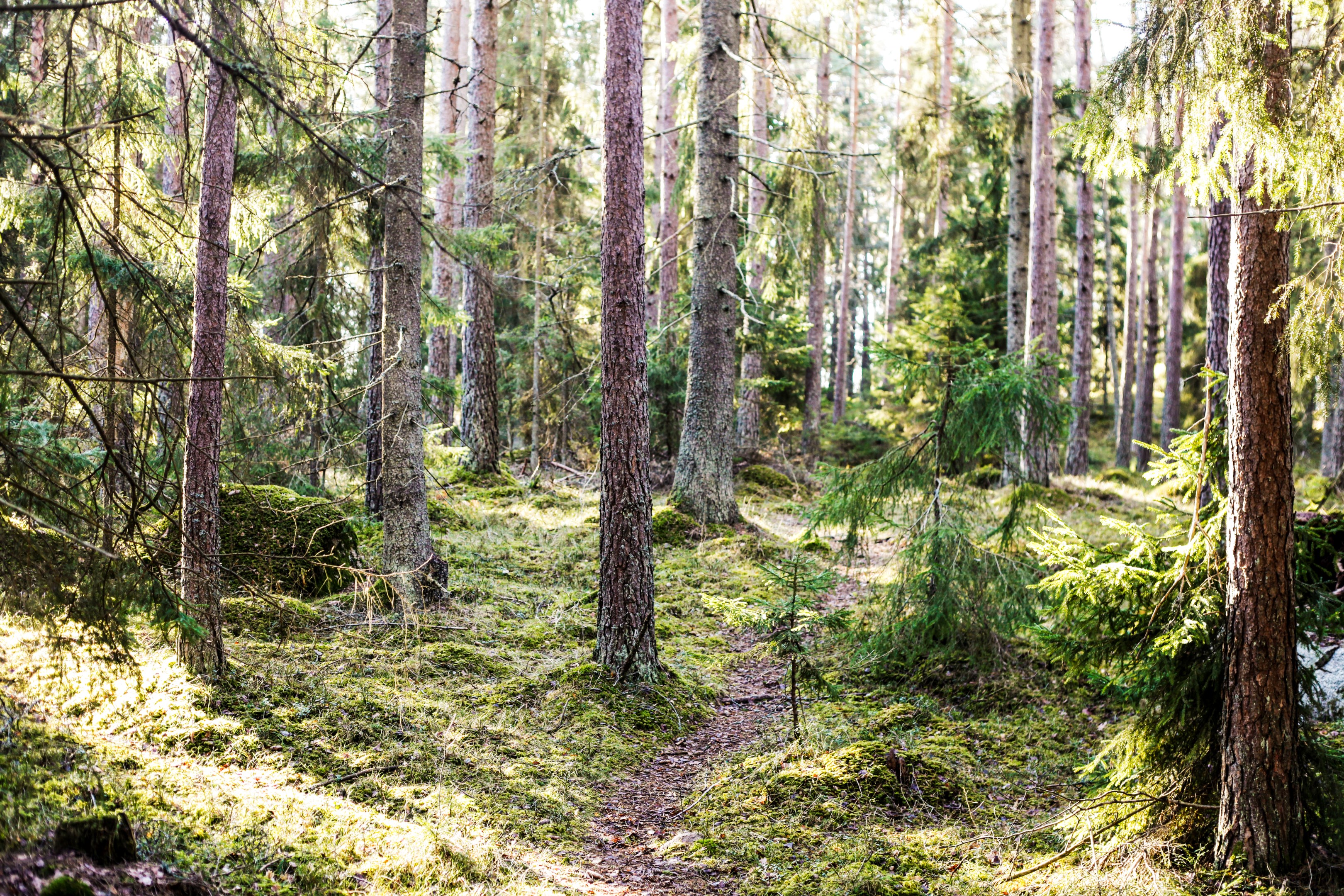 Bostadsbild från Brunnby Framnäs 329, Såld i Knivsta, Knivsta