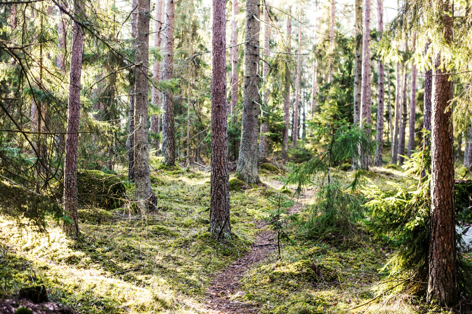 Bostadsbild från Brunnby Framnäs 329, Såld i Knivsta, Knivsta