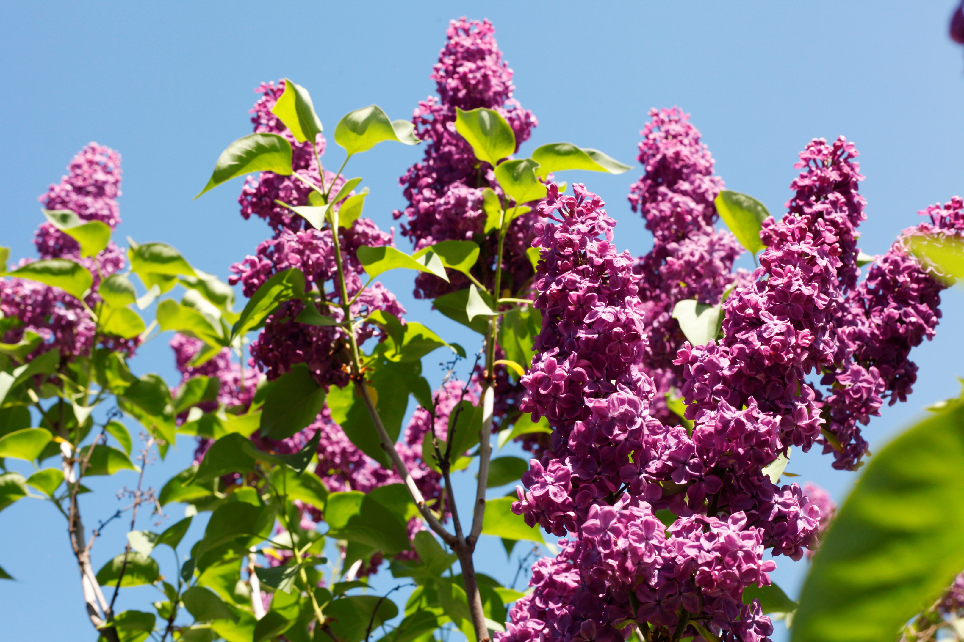 Bostadsbild från Brunnby Framnäs 329, Såld i Knivsta, Knivsta