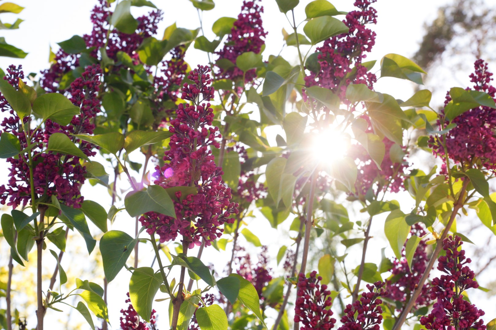Bostadsbild från Brunnby Framnäs 329, Såld i Knivsta, Knivsta