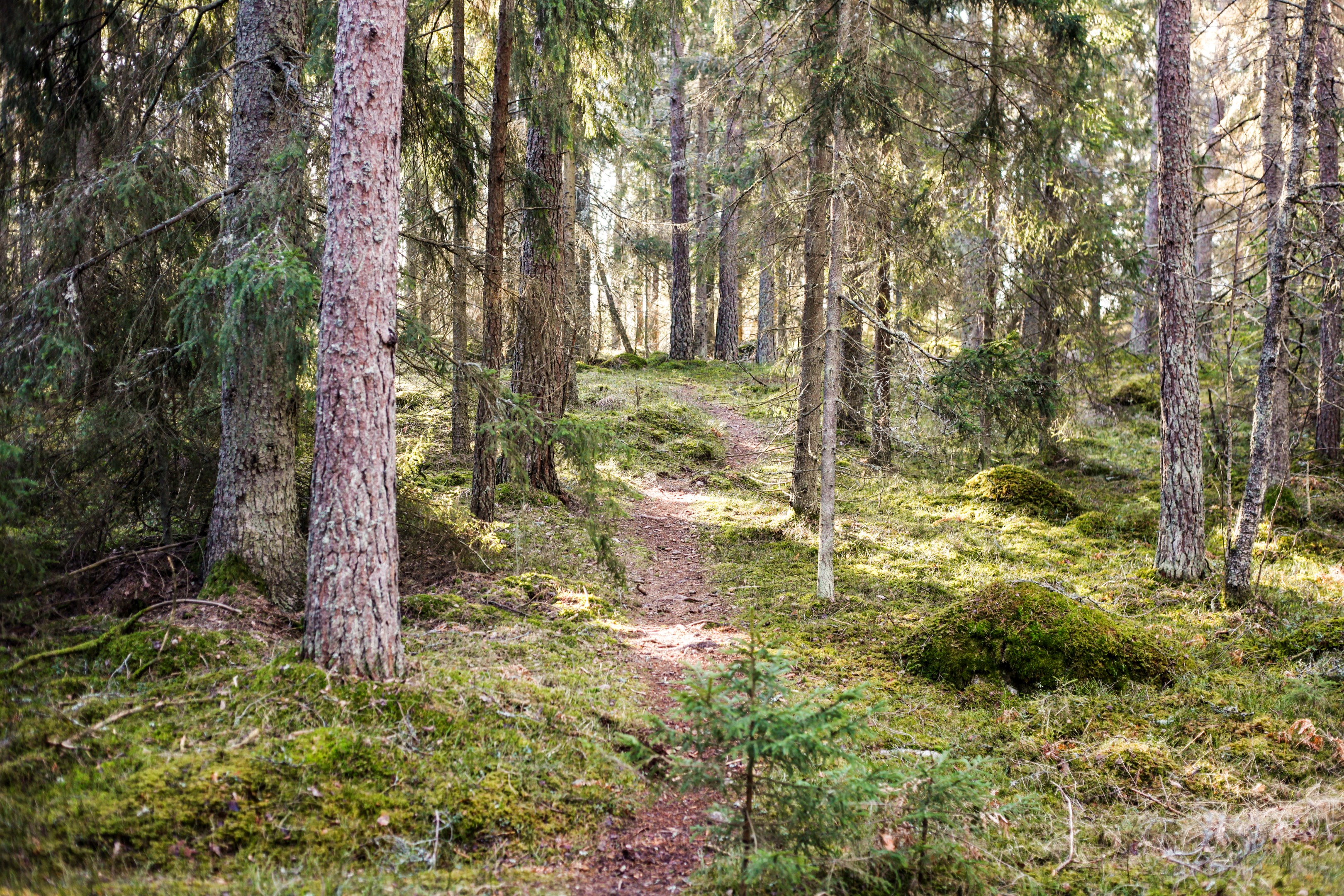 Bostadsbild från Brunnby Framnäs 329, Såld i Knivsta, Knivsta