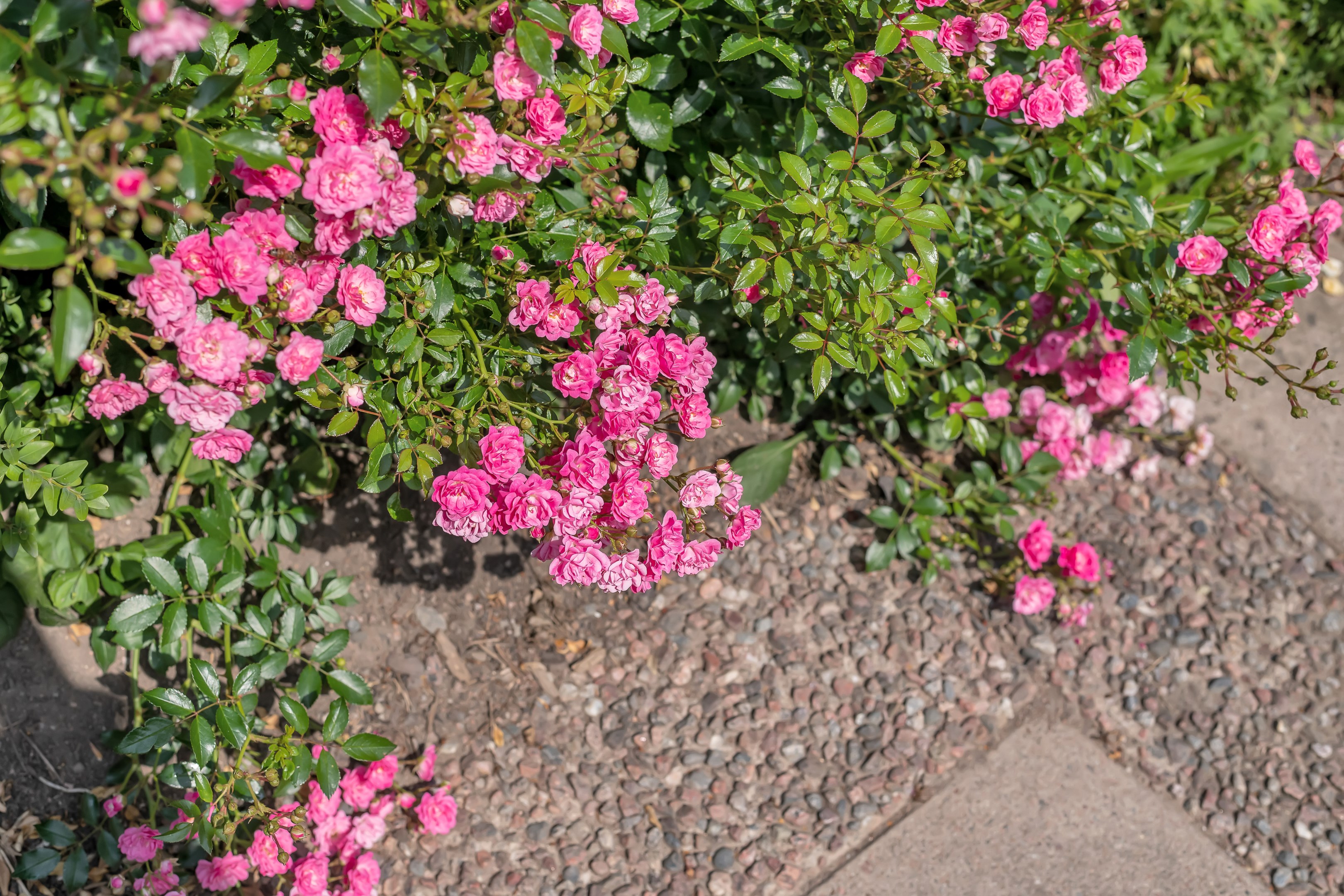 Bostadsbild från Bertilsvägen 19A, Såld i Berthåga, Uppsala