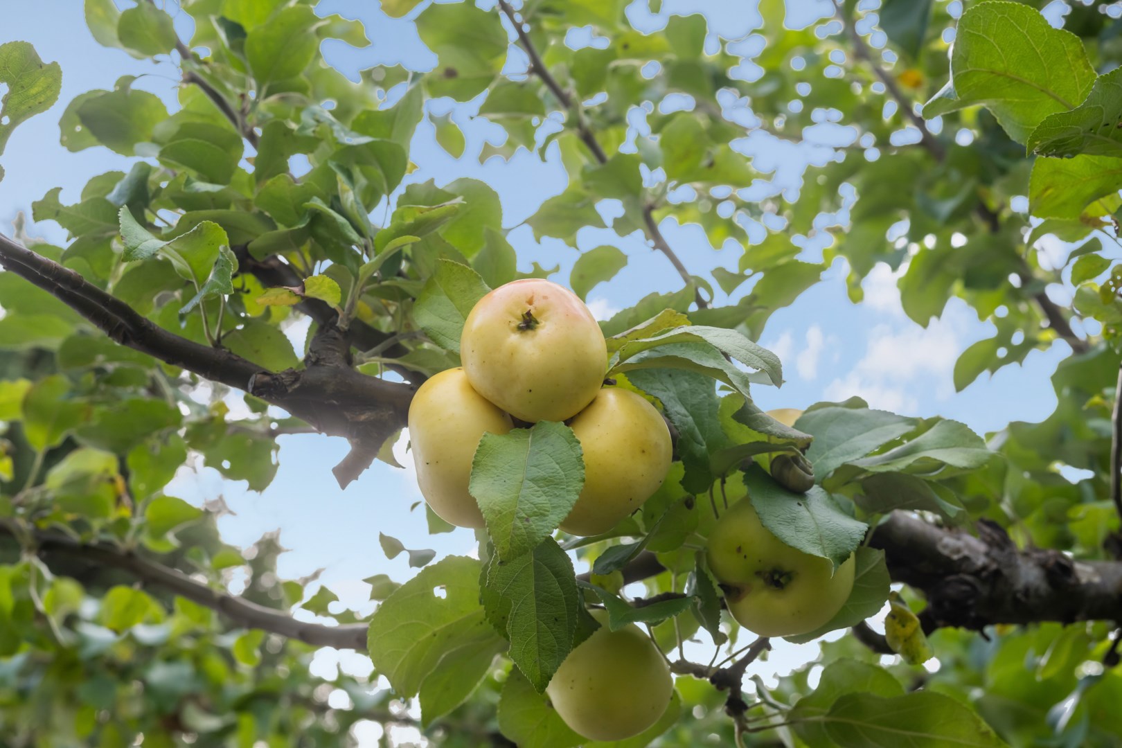 Bostadsbild från Enstigen 8, Såld i Vänge, Uppsala