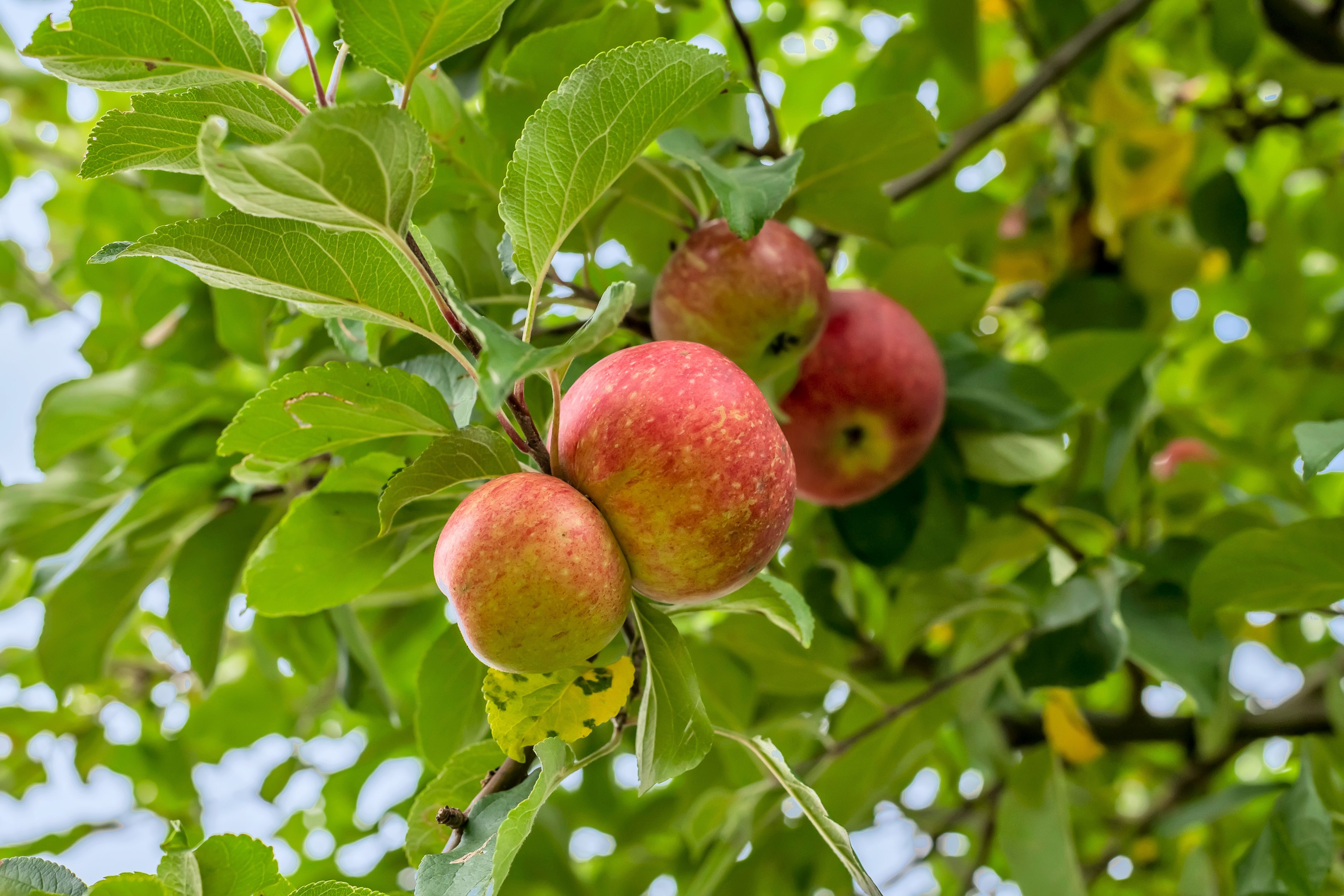Bostadsbild från Gruvfogdevägen 28, Såld i Vattholma, Uppsala