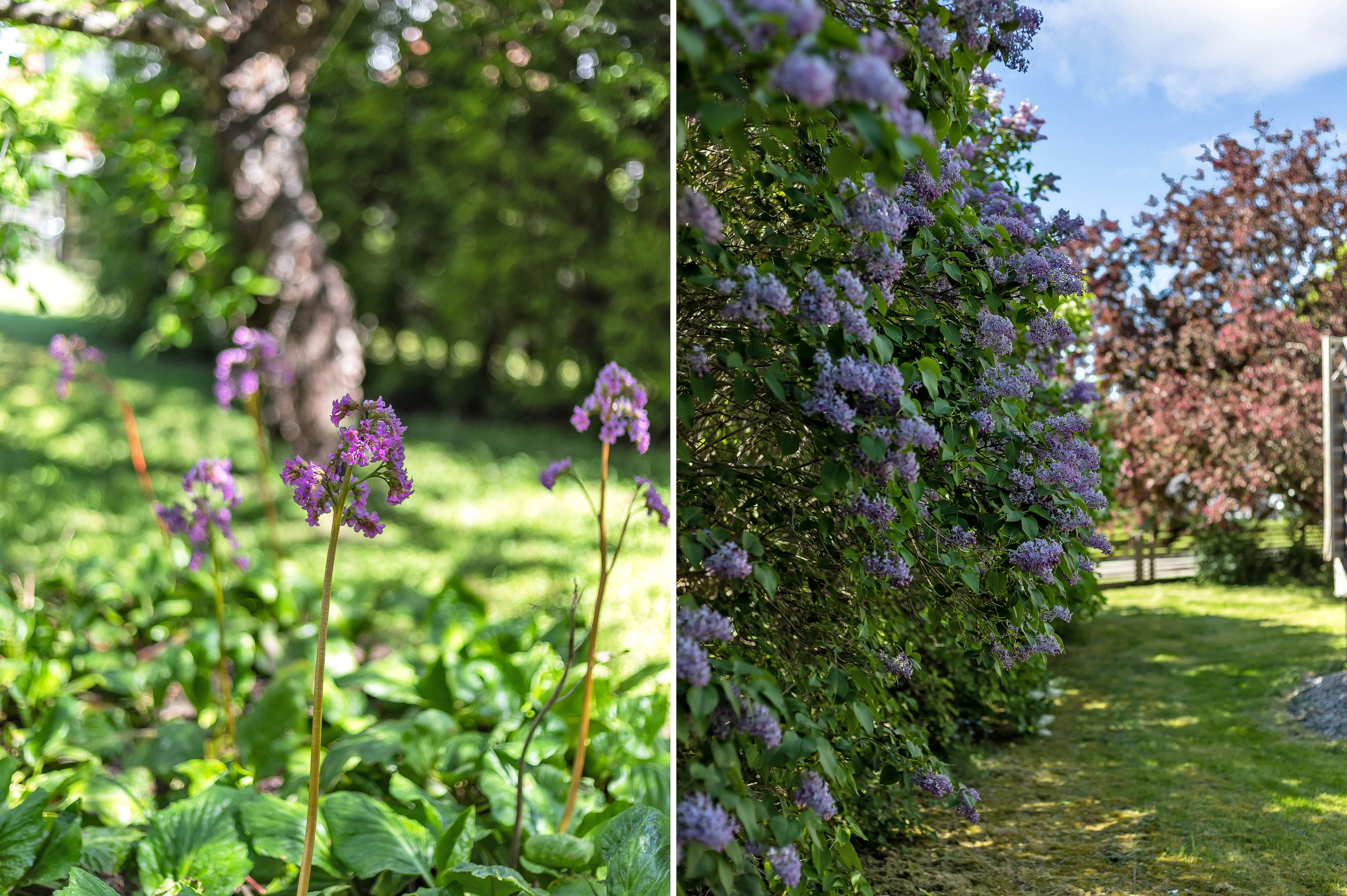 Bostadsbild från Nyckelaxet 8, Såld i Bergsbrunna, Uppsala