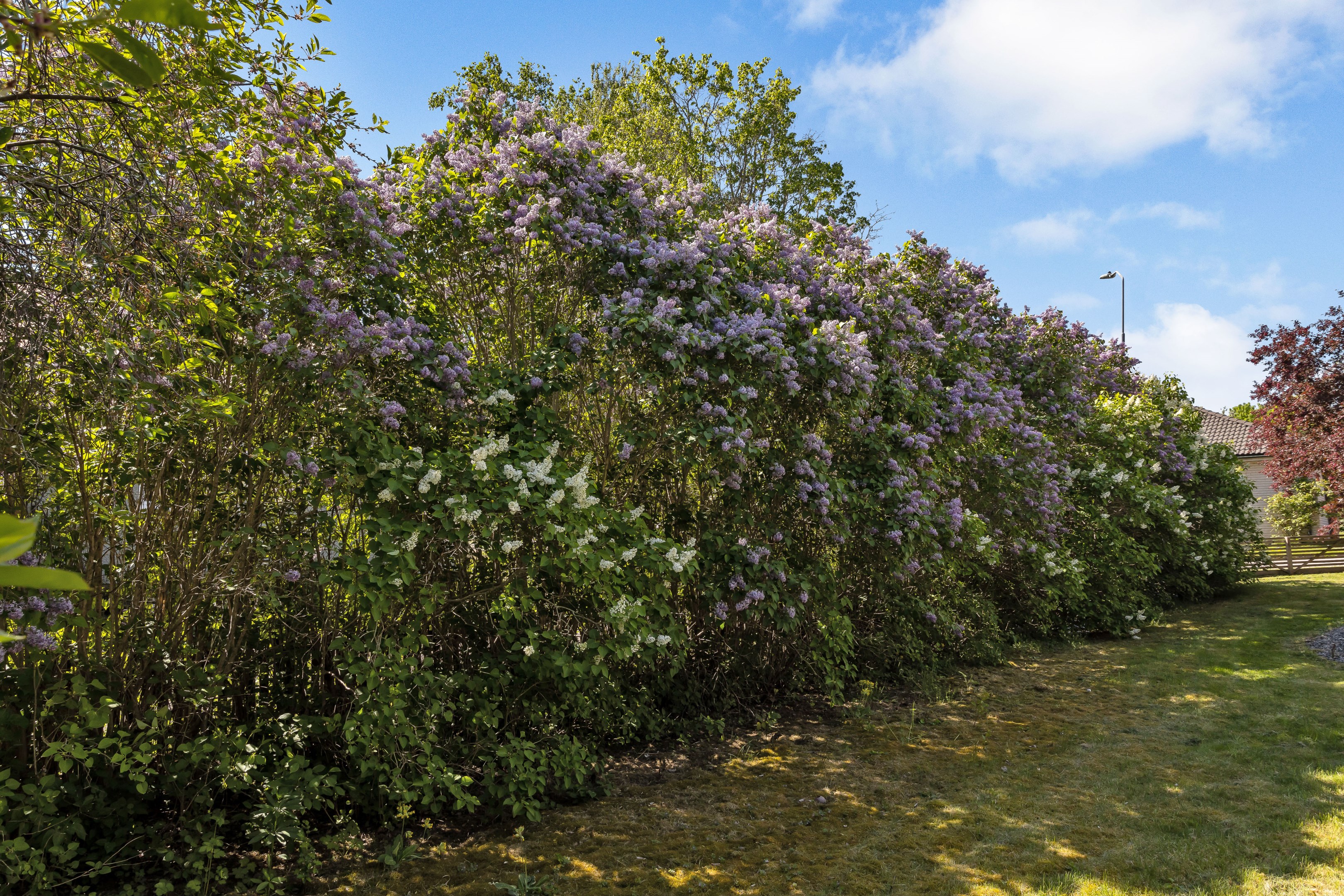 Bostadsbild från Nyckelaxet 8, Såld i Bergsbrunna, Uppsala