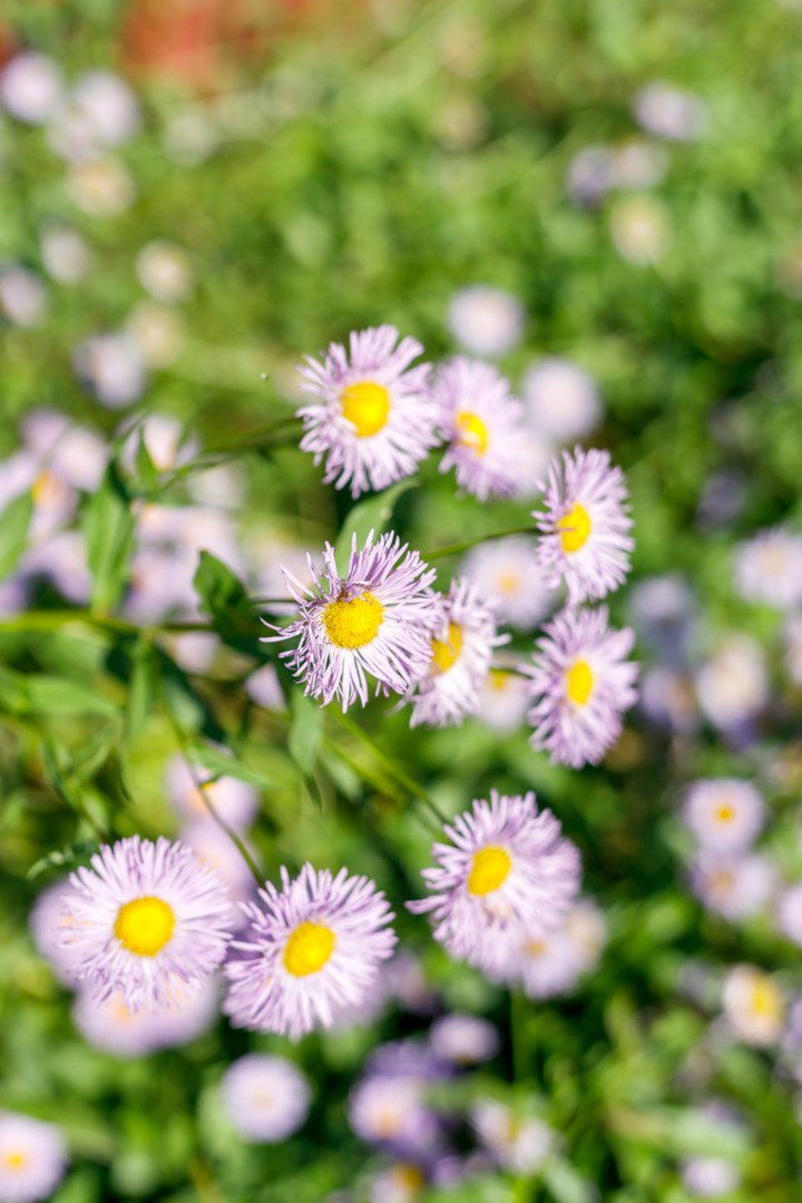 Bostadsbild från Vällarlagsvägen 6, Såld i Vattholma, Uppsala
