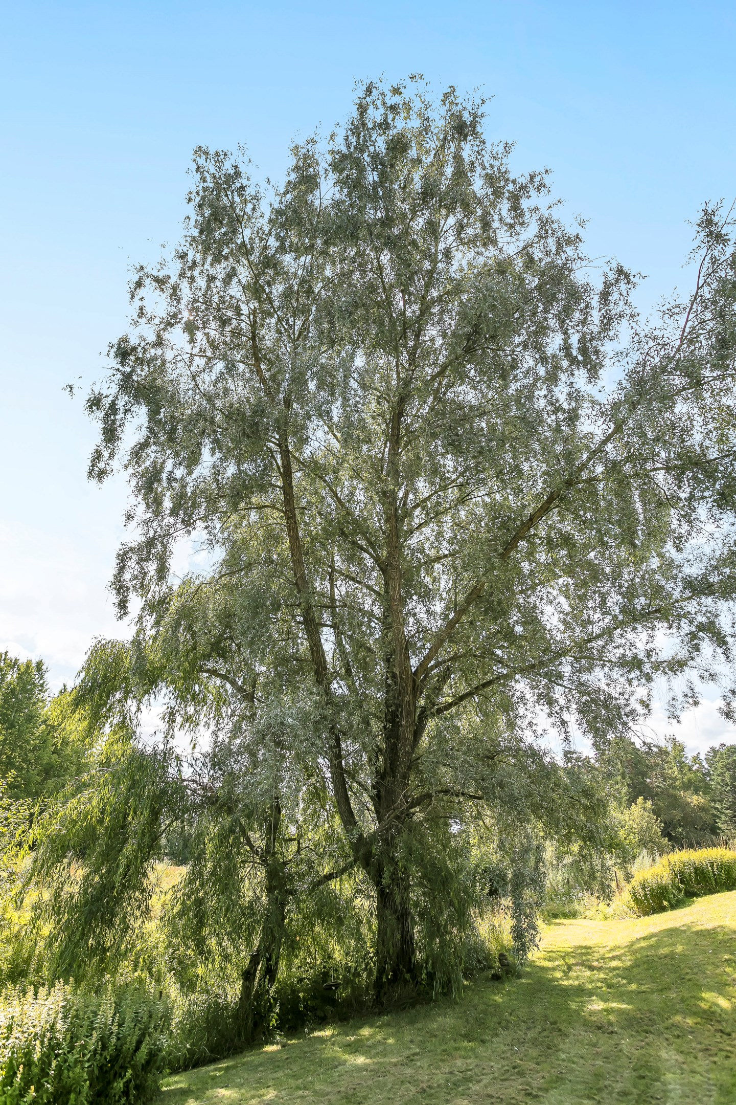 Bostadsbild från Kil 111, Såld i Vänge, Uppsala