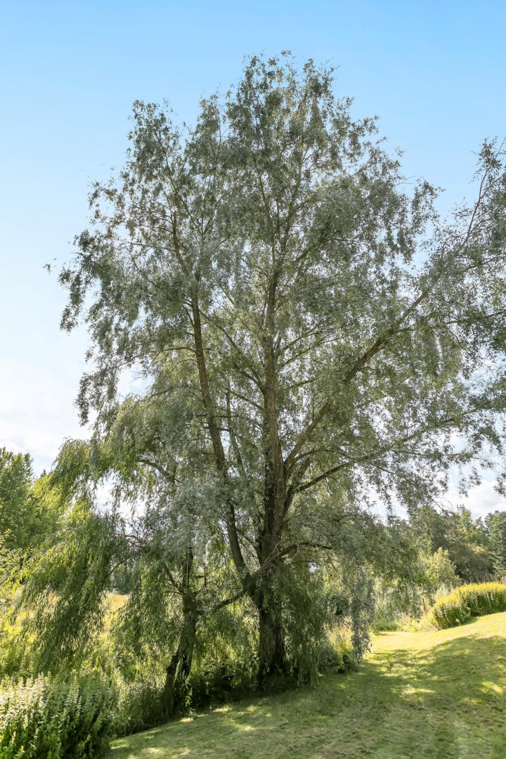 Bostadsbild från Kil 111, Såld i Vänge, Uppsala