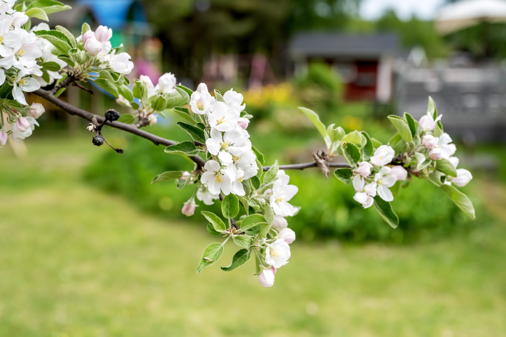 Bostadsbild från Sandbo 5, Kommande i Ärentuna, Uppsala