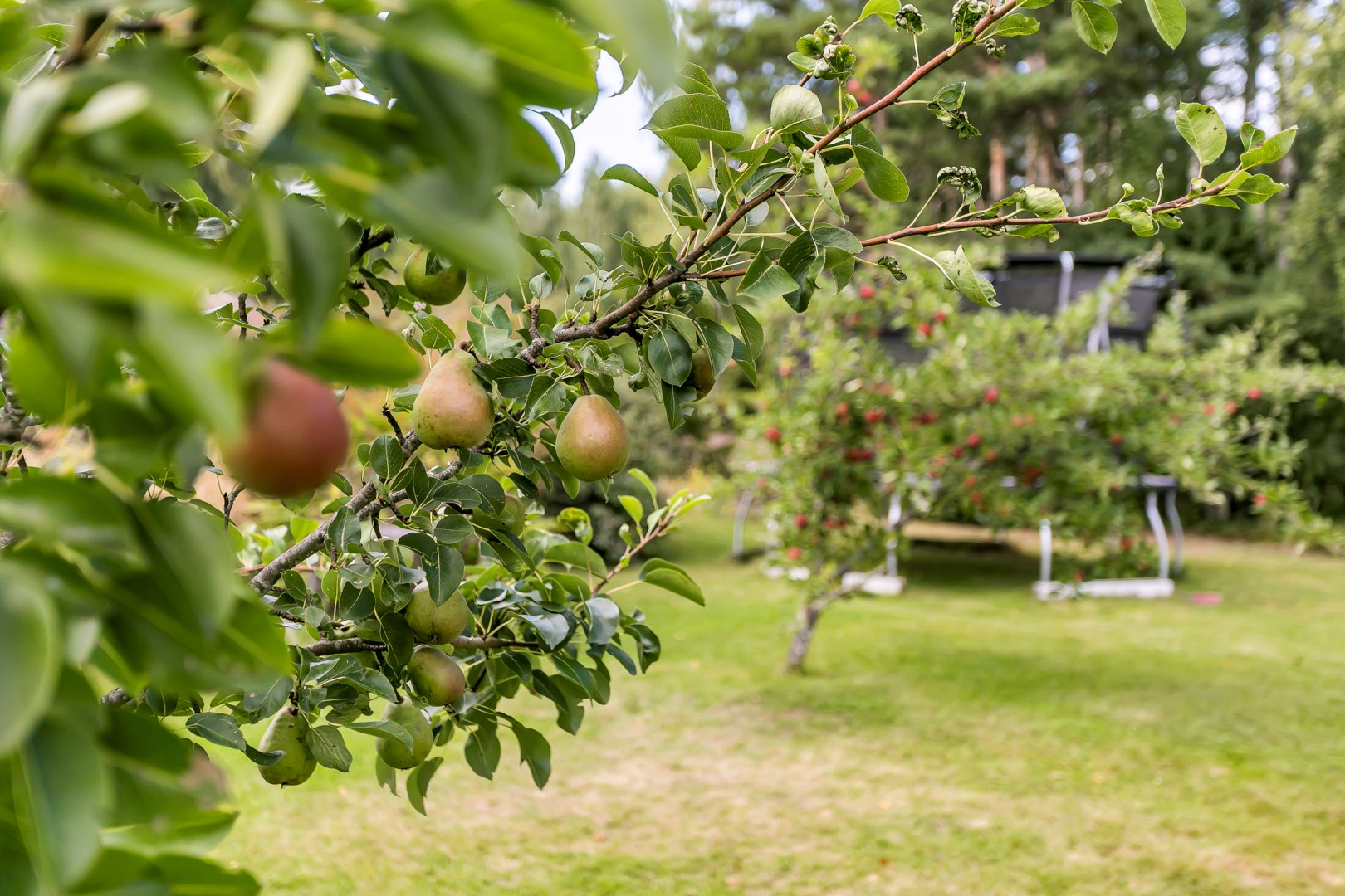 Bostadsbild från Sandbo 5, Kommande i Ärentuna, Uppsala