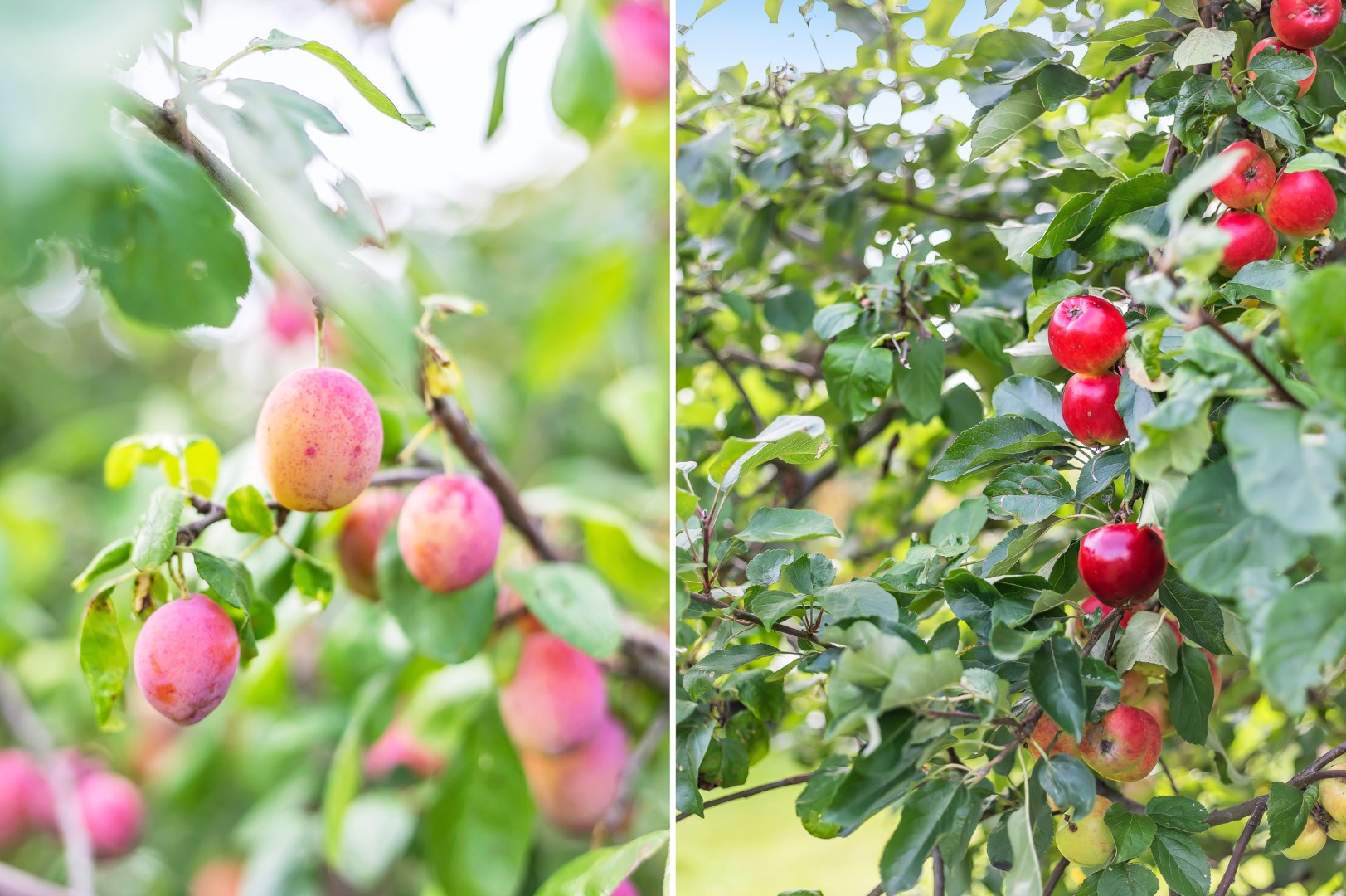 Bostadsbild från Södra Parkvägen 21, Såld i Norby, Uppsala