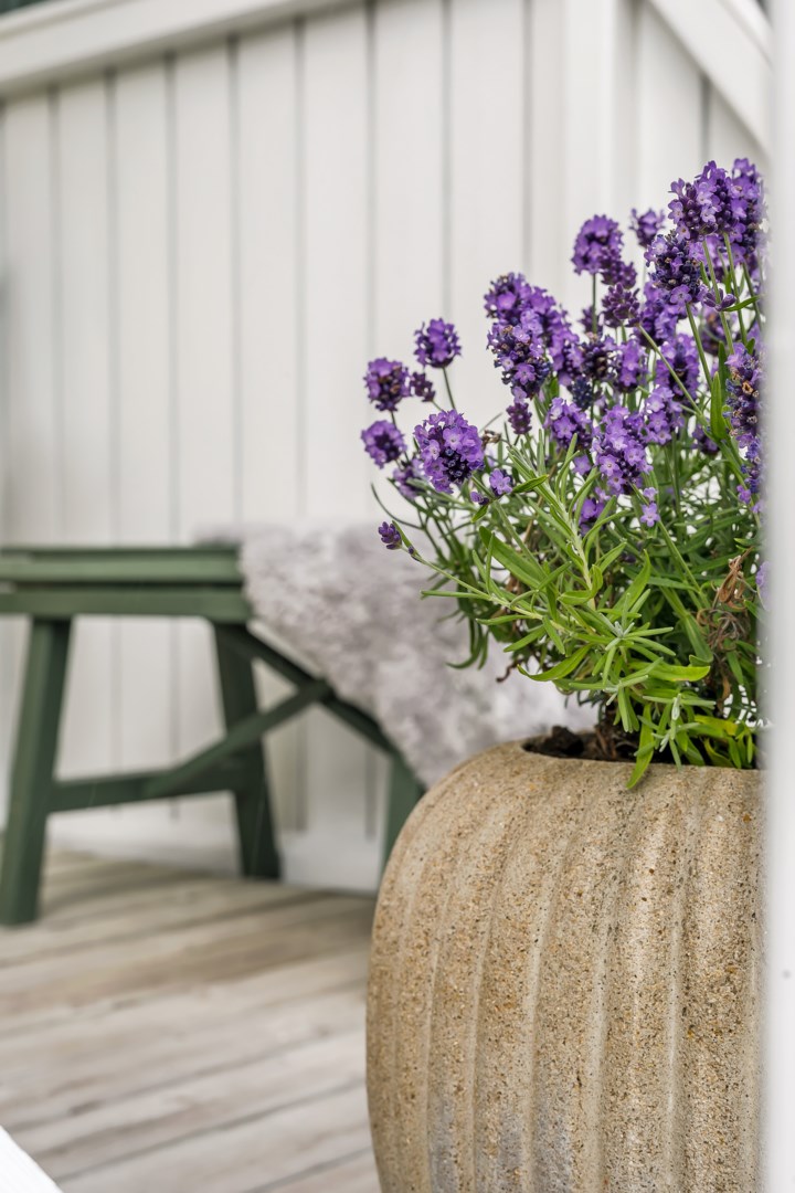 Bostadsbild från Eriksgatan 28A, Såld i Luthagen, Uppsala