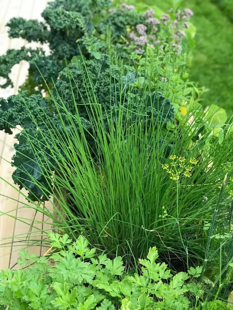 Bostadsbild från Rippebo 5, Såld i Björklinge, Uppsala