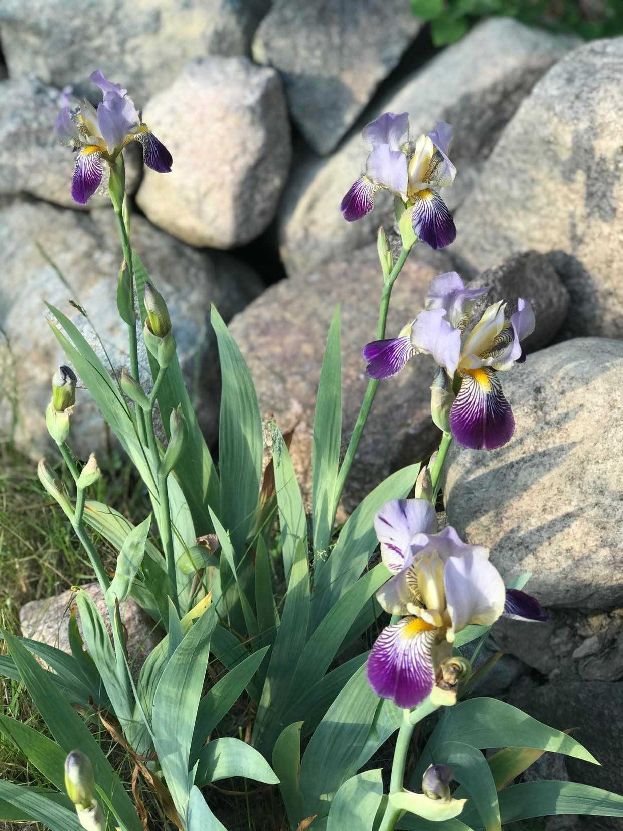 Bostadsbild från Rippebo 5, Såld i Björklinge, Uppsala