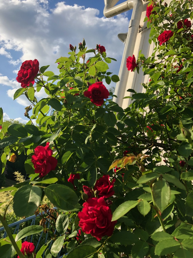 Bostadsbild från Svanevitsvägen 1, Såld i Skuru, Nacka