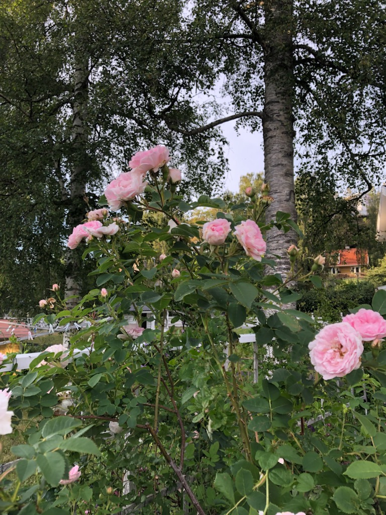 Bostadsbild från Svanevitsvägen 1, Såld i Skuru, Nacka