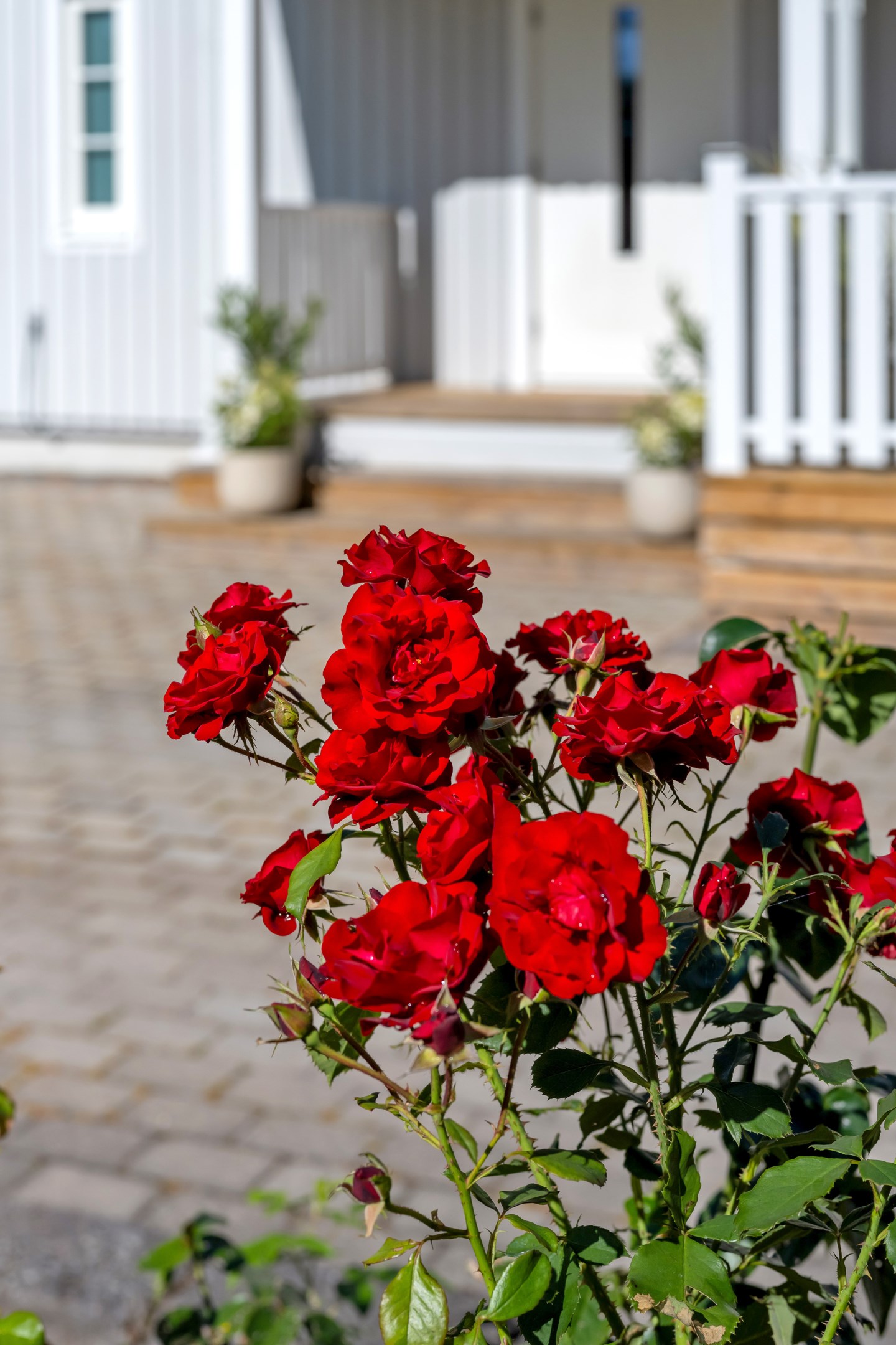 Bostadsbild från Åloppe 427, Kommande i Bälinge, Uppsala