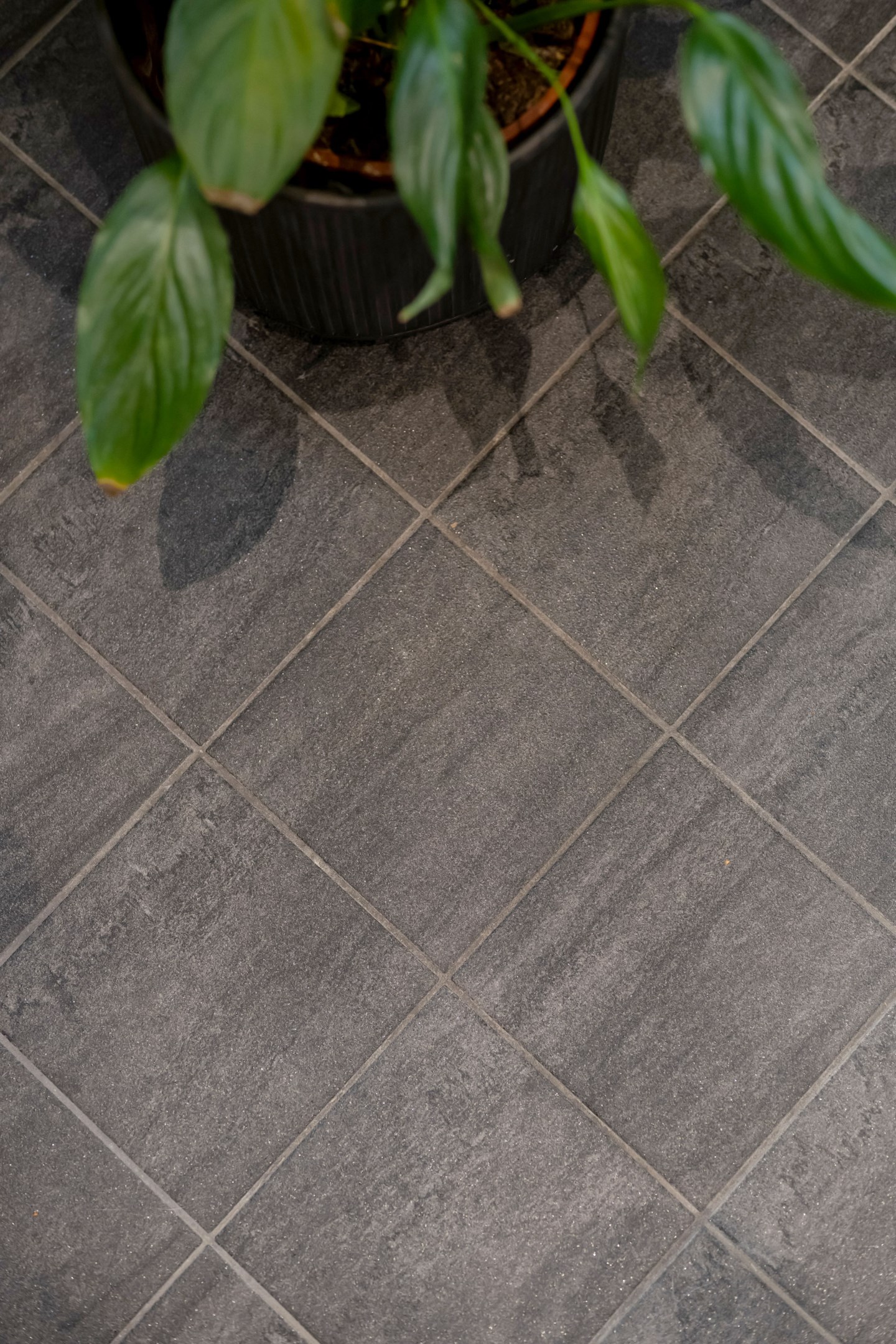 Bostadsbild från Åloppe 427, Kommande i Bälinge, Uppsala