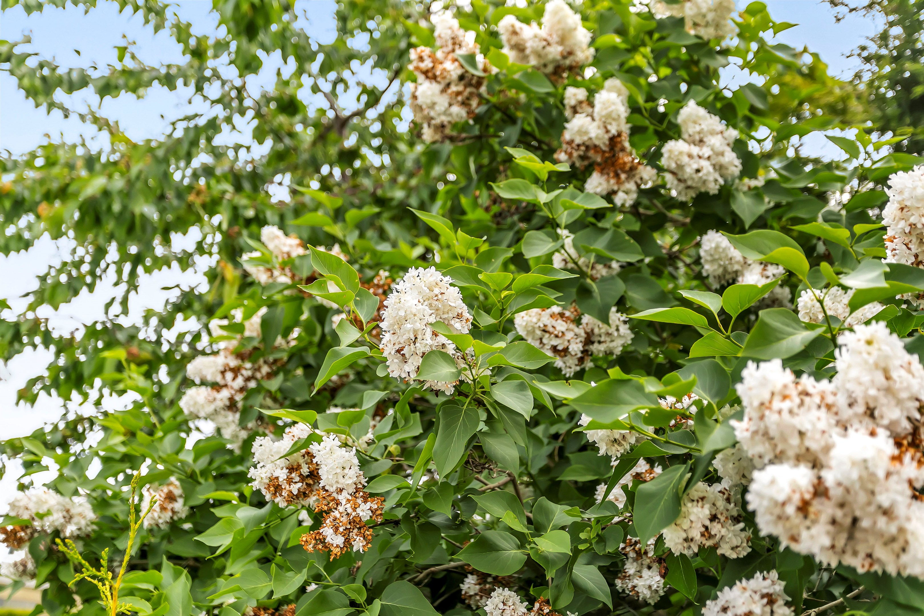 Bostadsbild från Pimpstensvägen 64, Såld i Herrhagen, Uppsala
