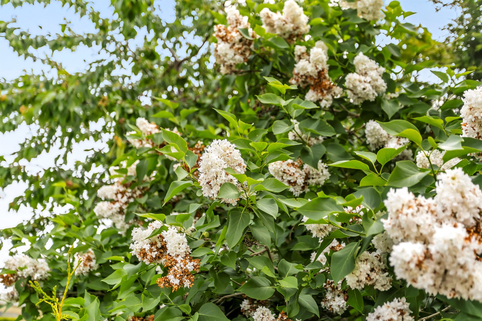 Bostadsbild från Pimpstensvägen 64, Såld i Herrhagen, Uppsala