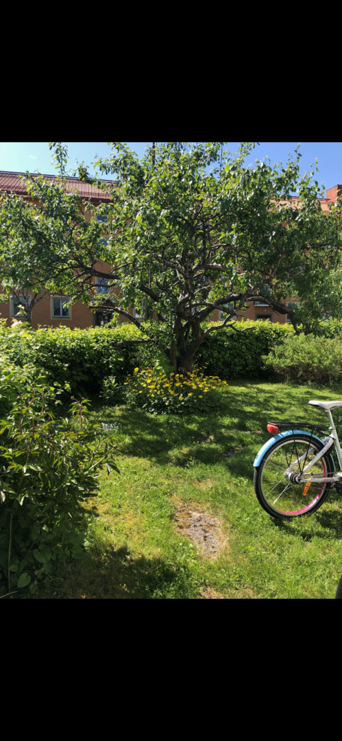 Bostadsbild från Bergagatan 51, Såld i Kungsgärdet, Uppsala
