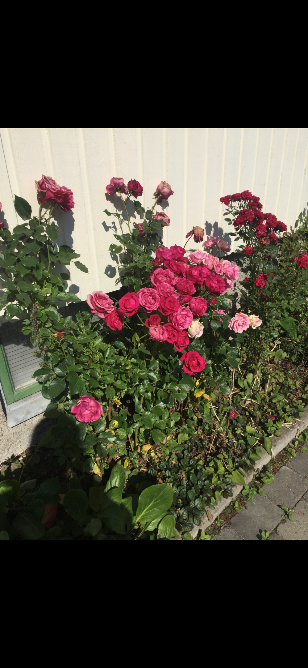 Bostadsbild från Bergagatan 51, Såld i Kungsgärdet, Uppsala