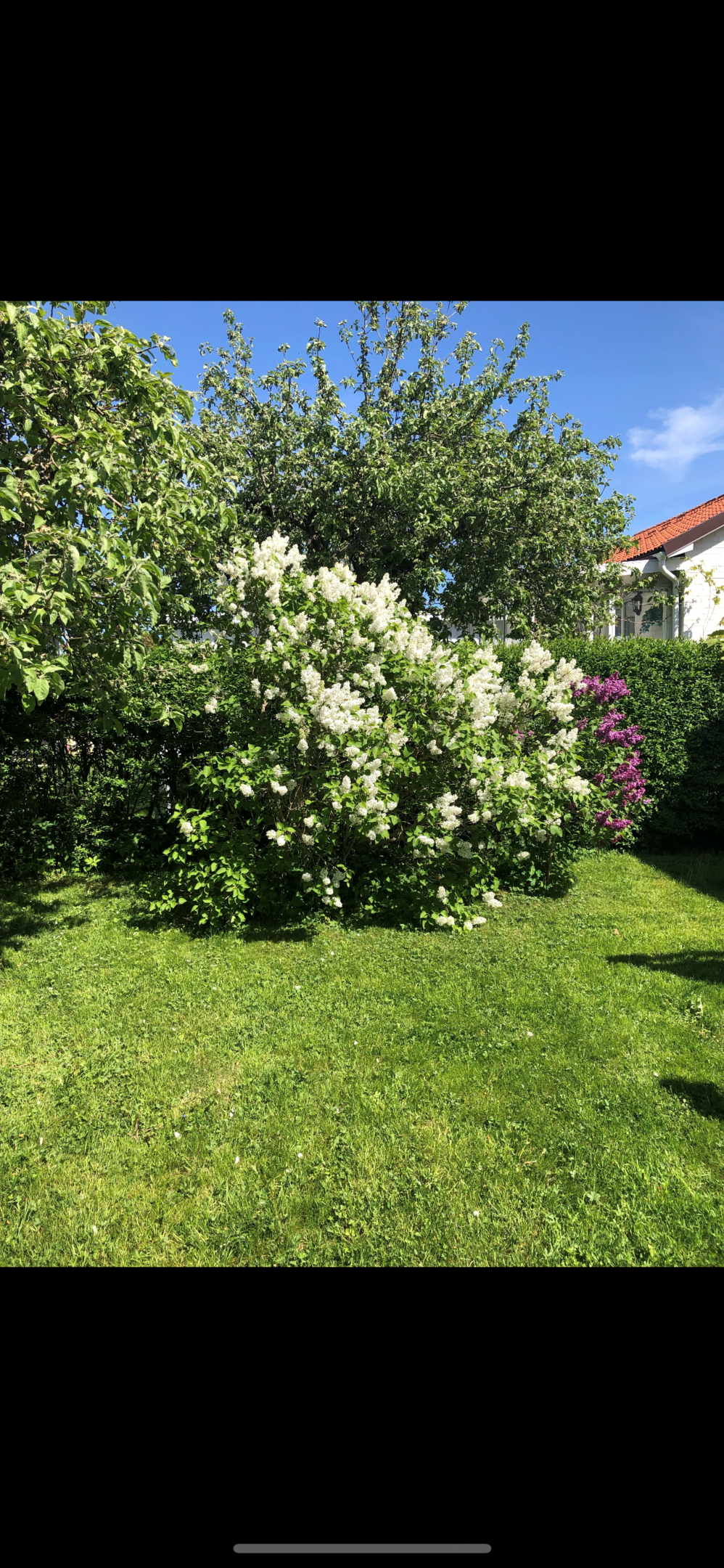 Bostadsbild från Bergagatan 51, Såld i Kungsgärdet, Uppsala