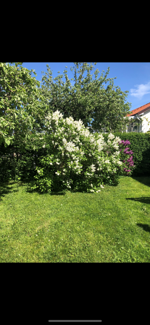 Bostadsbild från Bergagatan 51, Såld i Kungsgärdet, Uppsala
