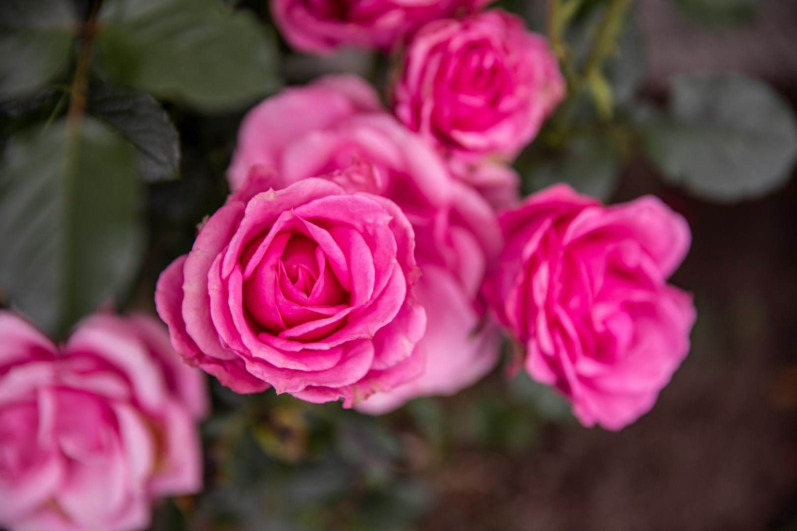 Bostadsbild från Bergagatan 51, Såld i Kungsgärdet, Uppsala