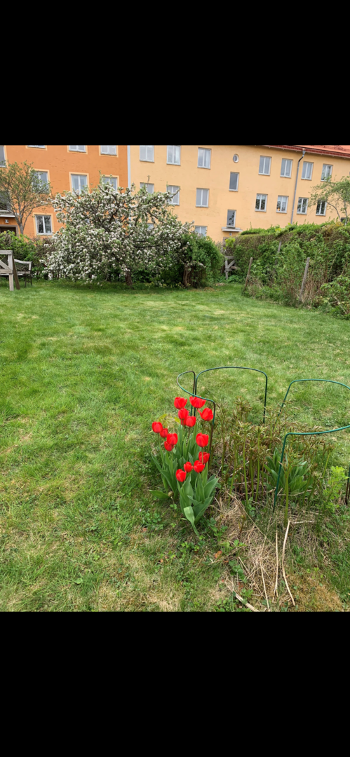 Bostadsbild från Bergagatan 51, Såld i Kungsgärdet, Uppsala
