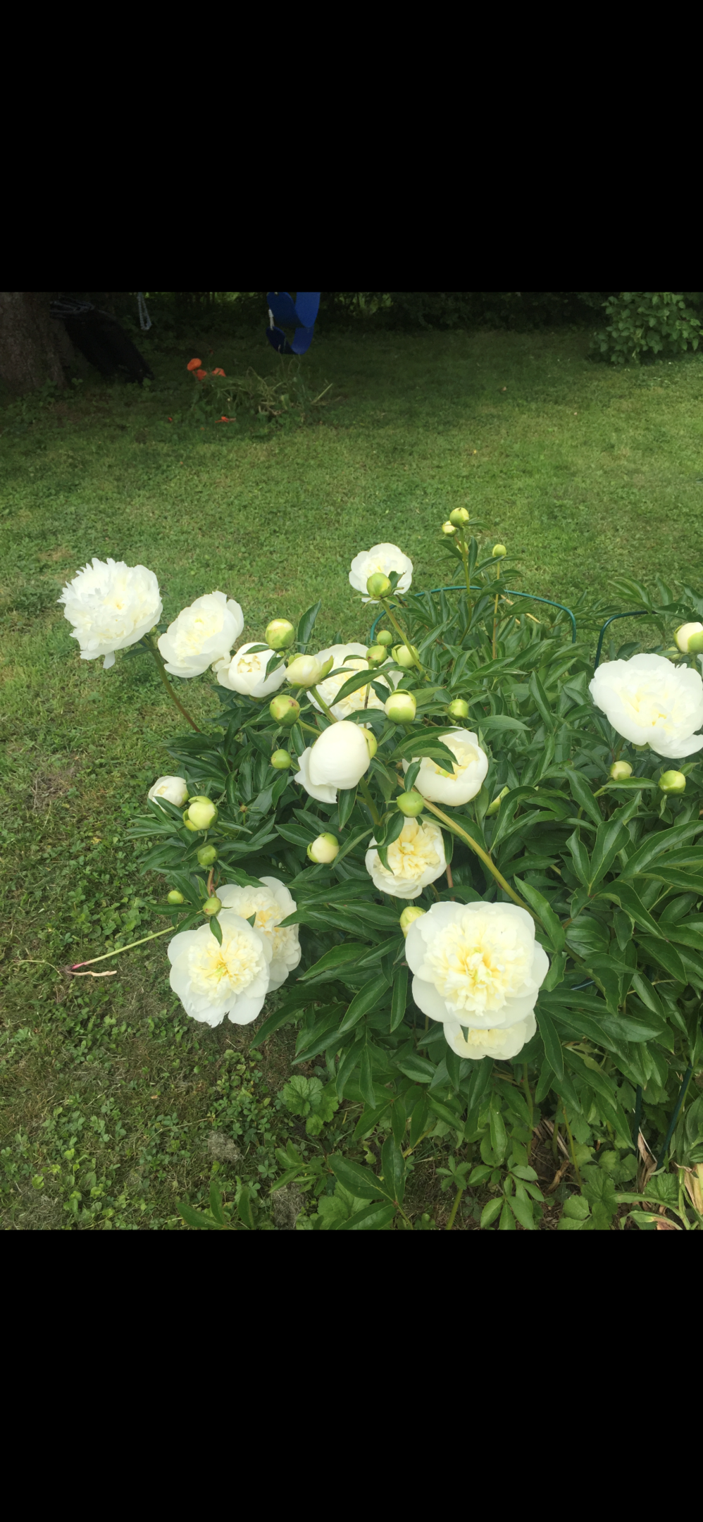 Bostadsbild från Bergagatan 51, Såld i Kungsgärdet, Uppsala