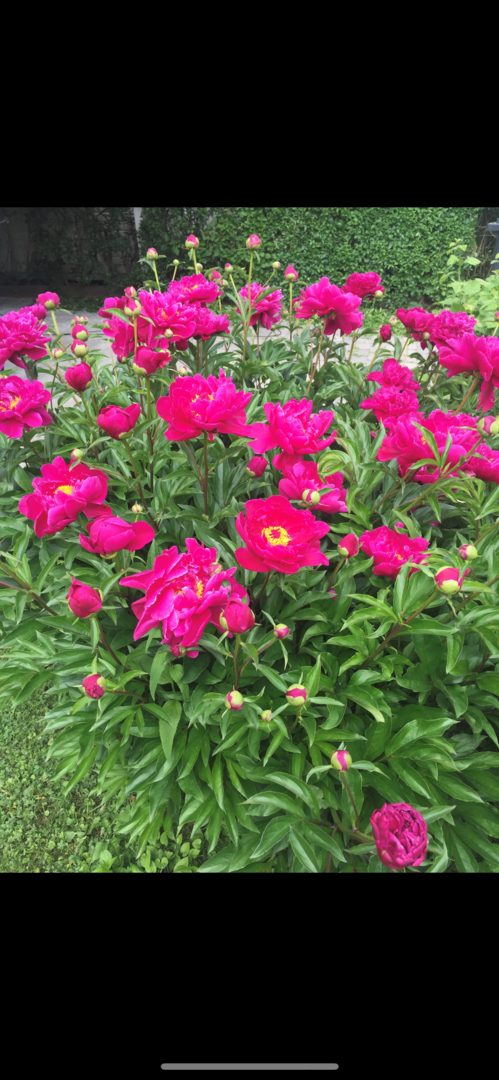 Bostadsbild från Bergagatan 51, Såld i Kungsgärdet, Uppsala