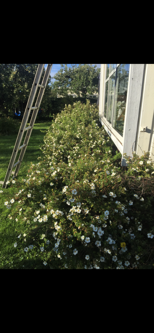Bostadsbild från Bergagatan 51, Såld i Kungsgärdet, Uppsala