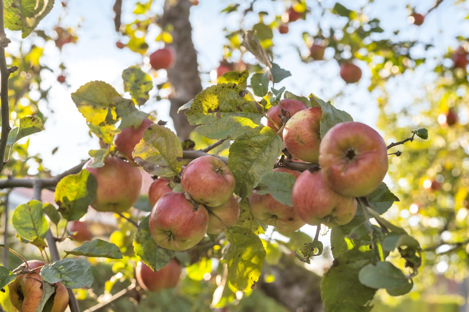 Bostadsbild från Smedsbylegatan 27, Såld i Fålhagen, Uppsala