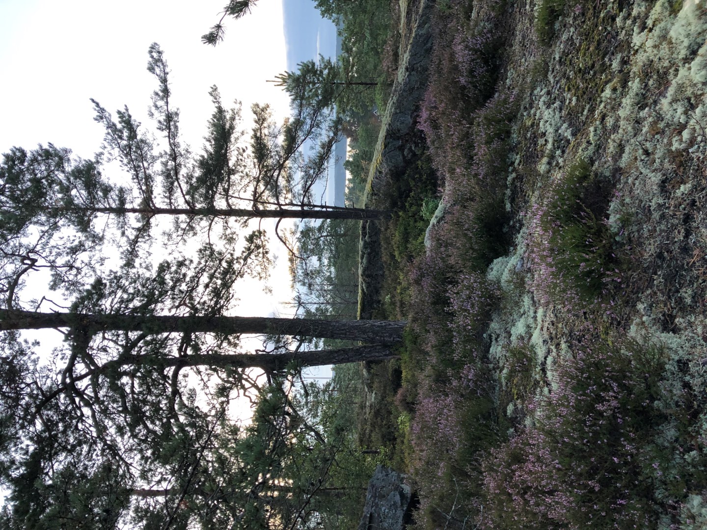 Bostadsbild från Sergelvägen 40, Såld i Hasseludden, Nacka