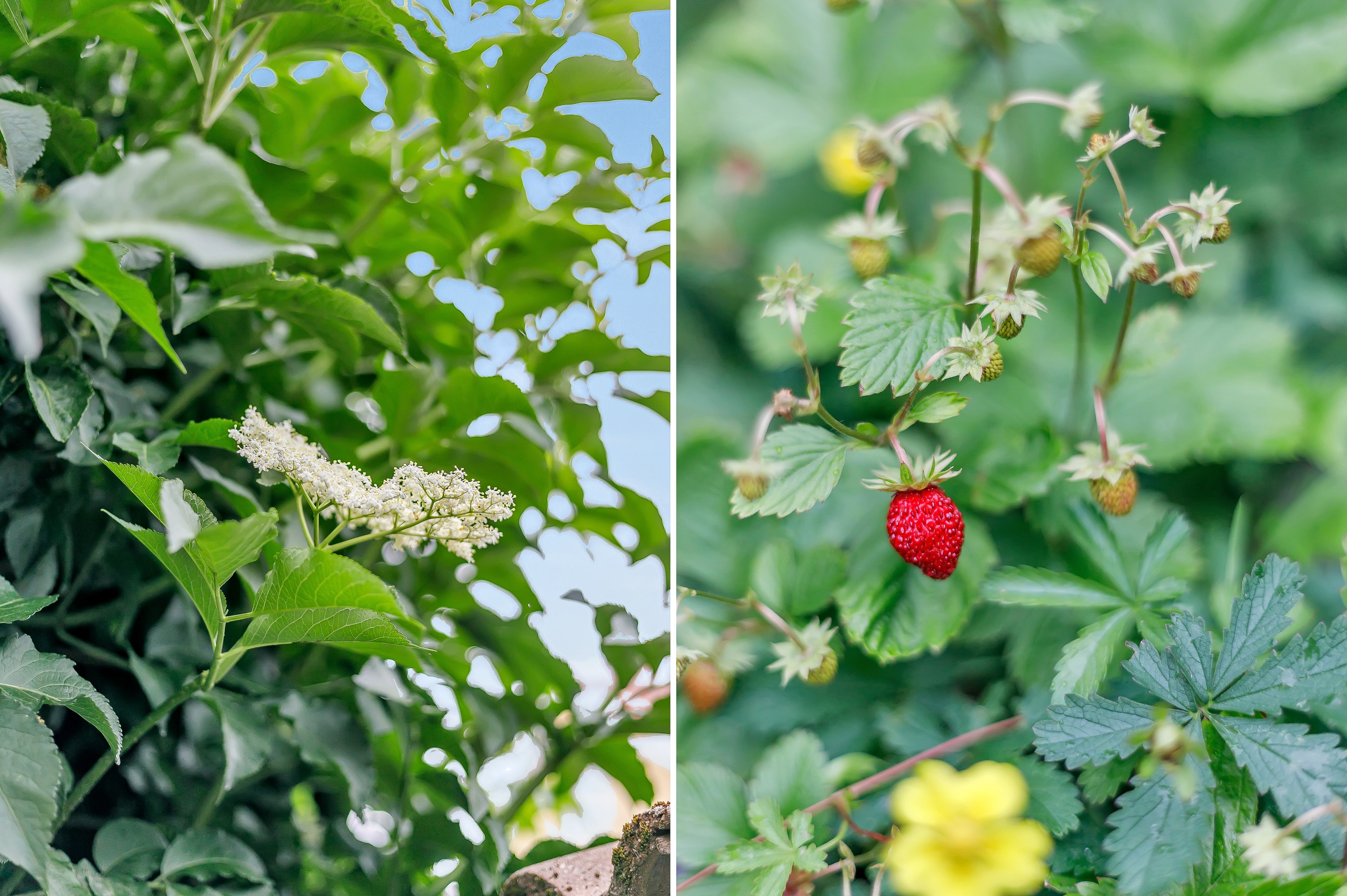Bostadsbild från Eriksgatan 8A, Såld i Luthagen, Uppsala