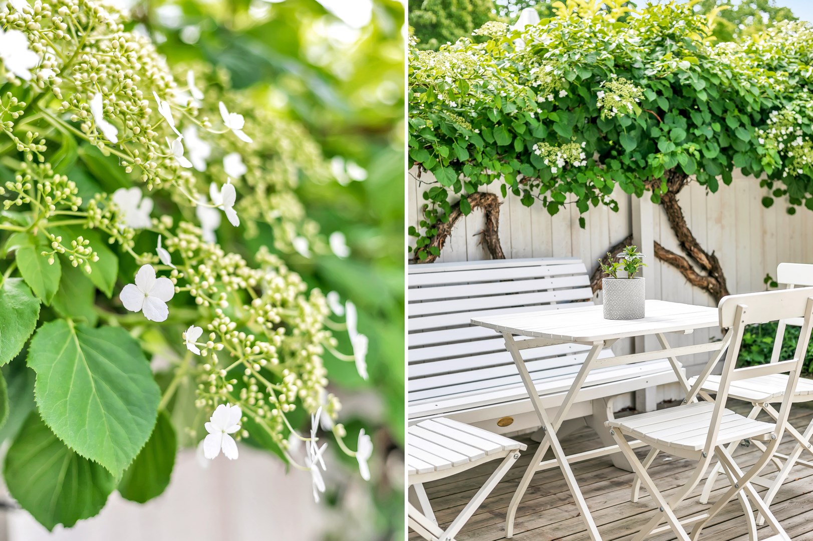 Bostadsbild från Blomgatan 7B, Såld i Luthagen, Uppsala