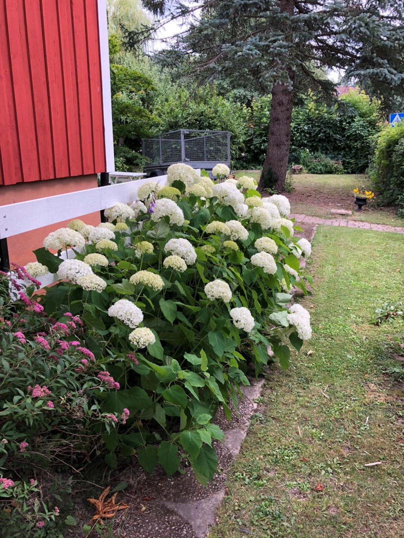 Bostadsbild från Fylkingsvägen 1, Såld i Gamla Uppsala, Uppsala