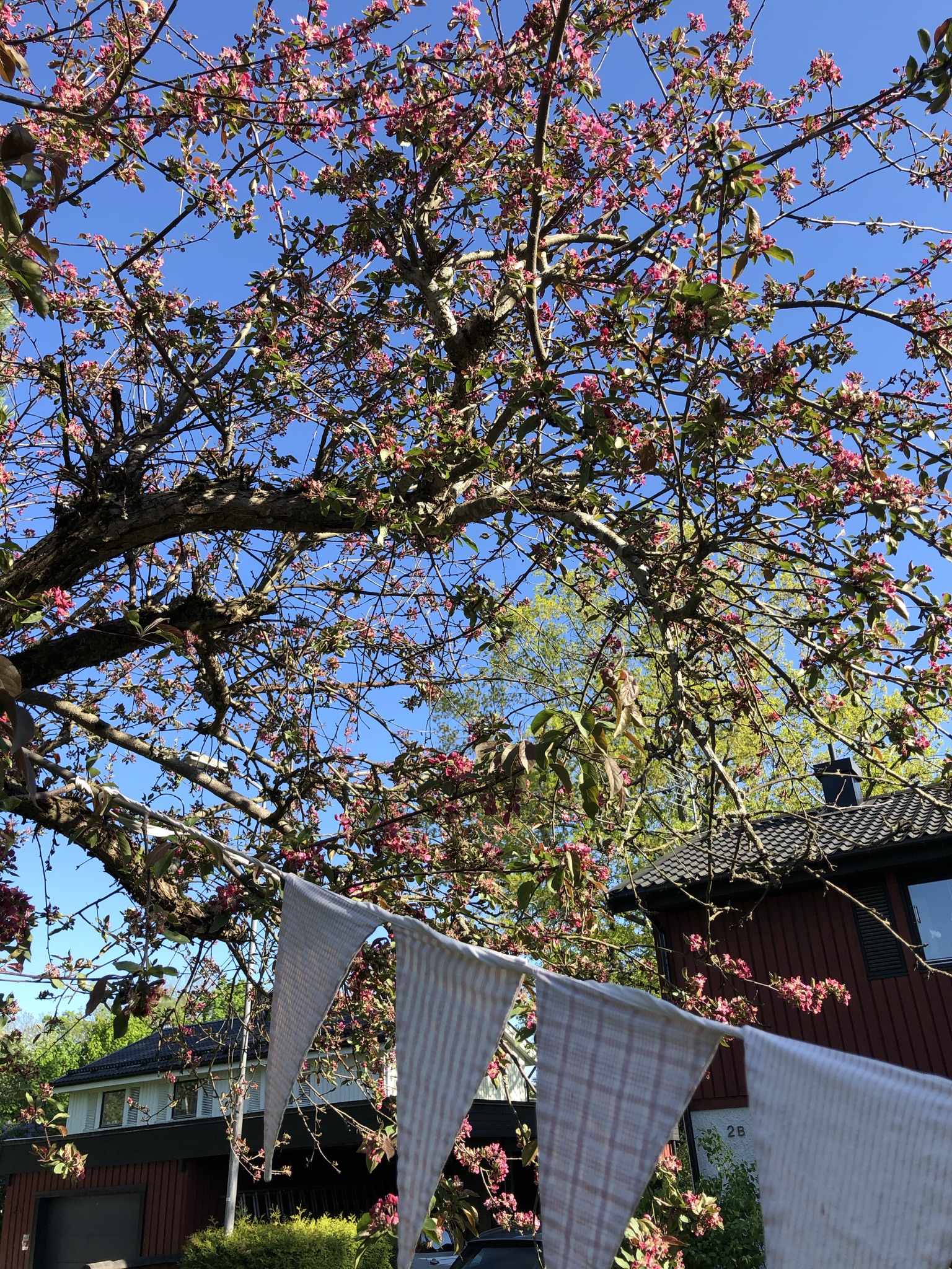 Bostadsbild från Fylkingsvägen 1, Såld i Gamla Uppsala, Uppsala