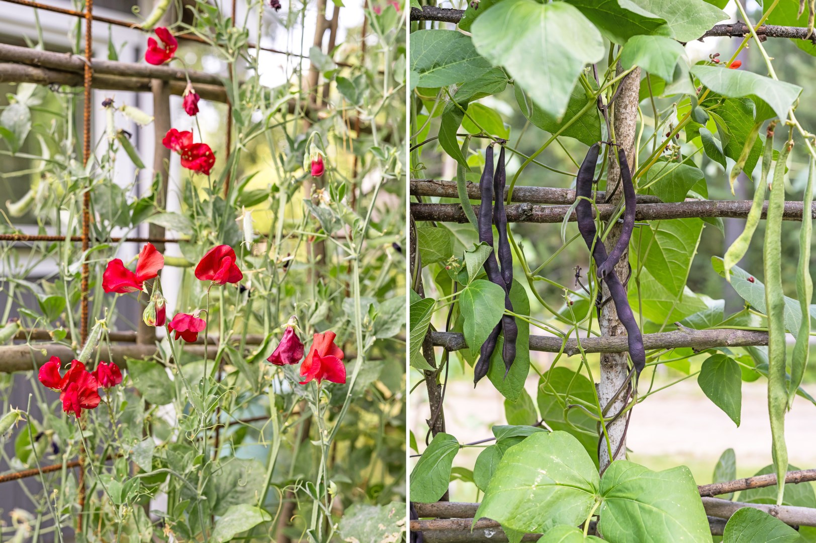 Bostadsbild från Sommarvägen 3A, Såld i Björklinge, Uppsala