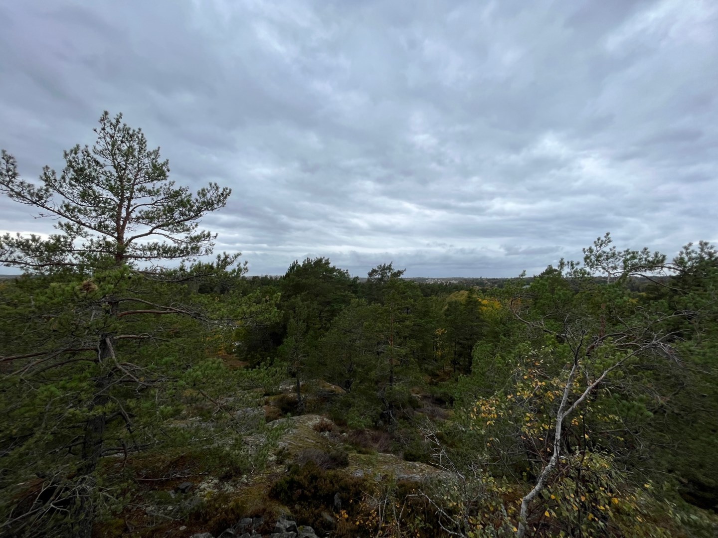 Bostadsbild från Tryffelvägen 1, Såld i Eknäs, Nacka